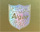 Mẫu sản phẩm cũ