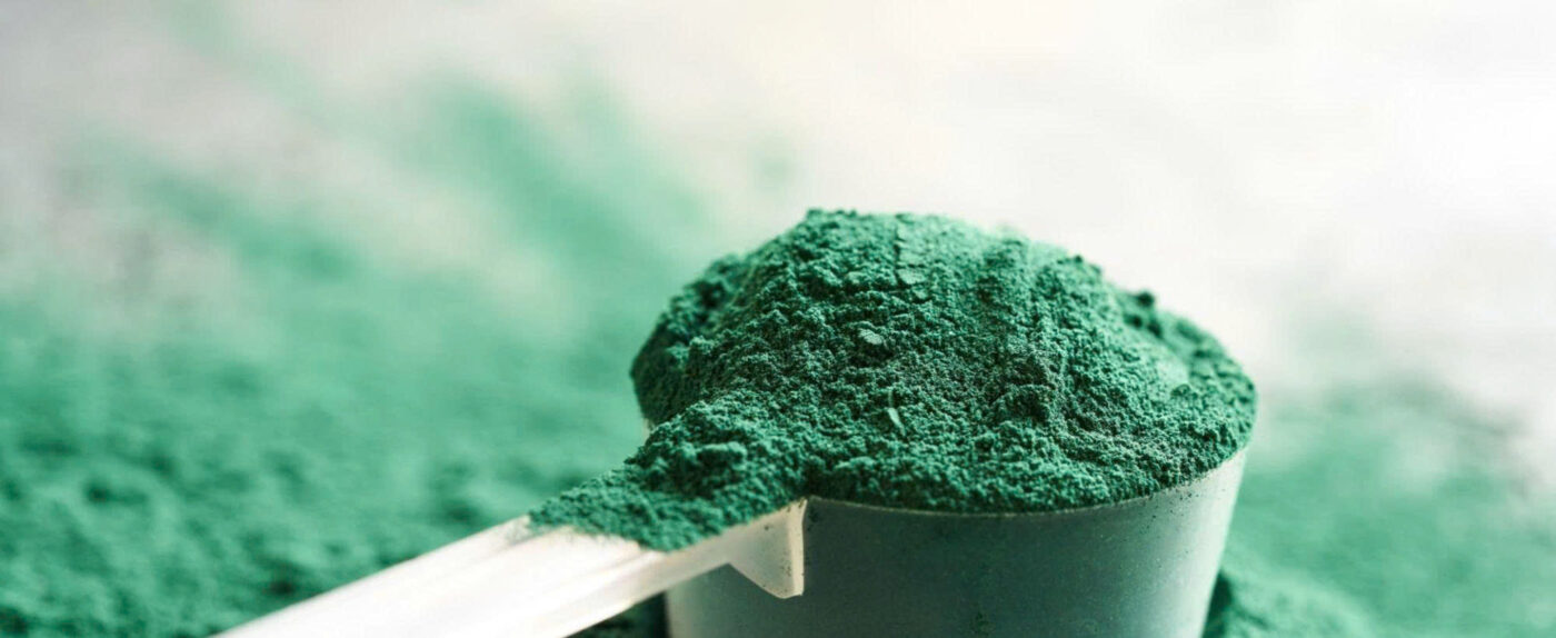 Tảo xoắn Spirulina được công nhận là "Siêu thực phẩm" của thế kỷ 21
