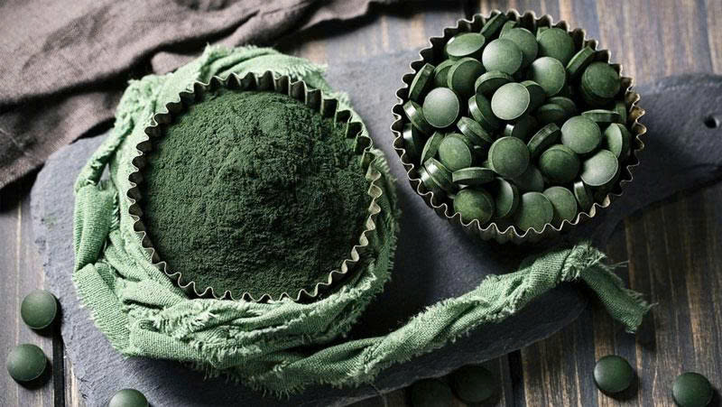 Tảo xoắn Spirulina được công nhận là "Siêu thực phẩm" của thế kỷ 21