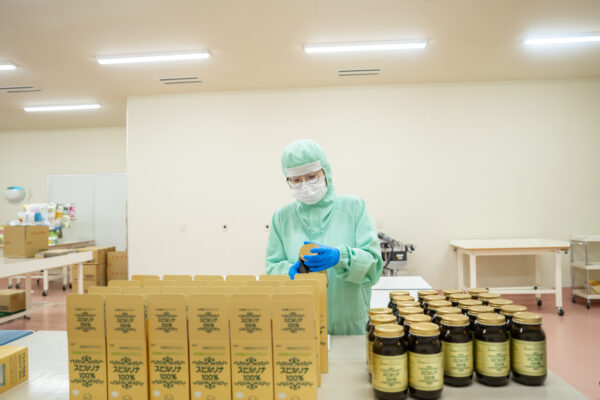 Quy trình nuôi cấy tảo xoắn Spirulina 100%